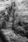 diggedthruny2010_small.jpg