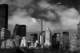 fanciedny2010_small.jpg